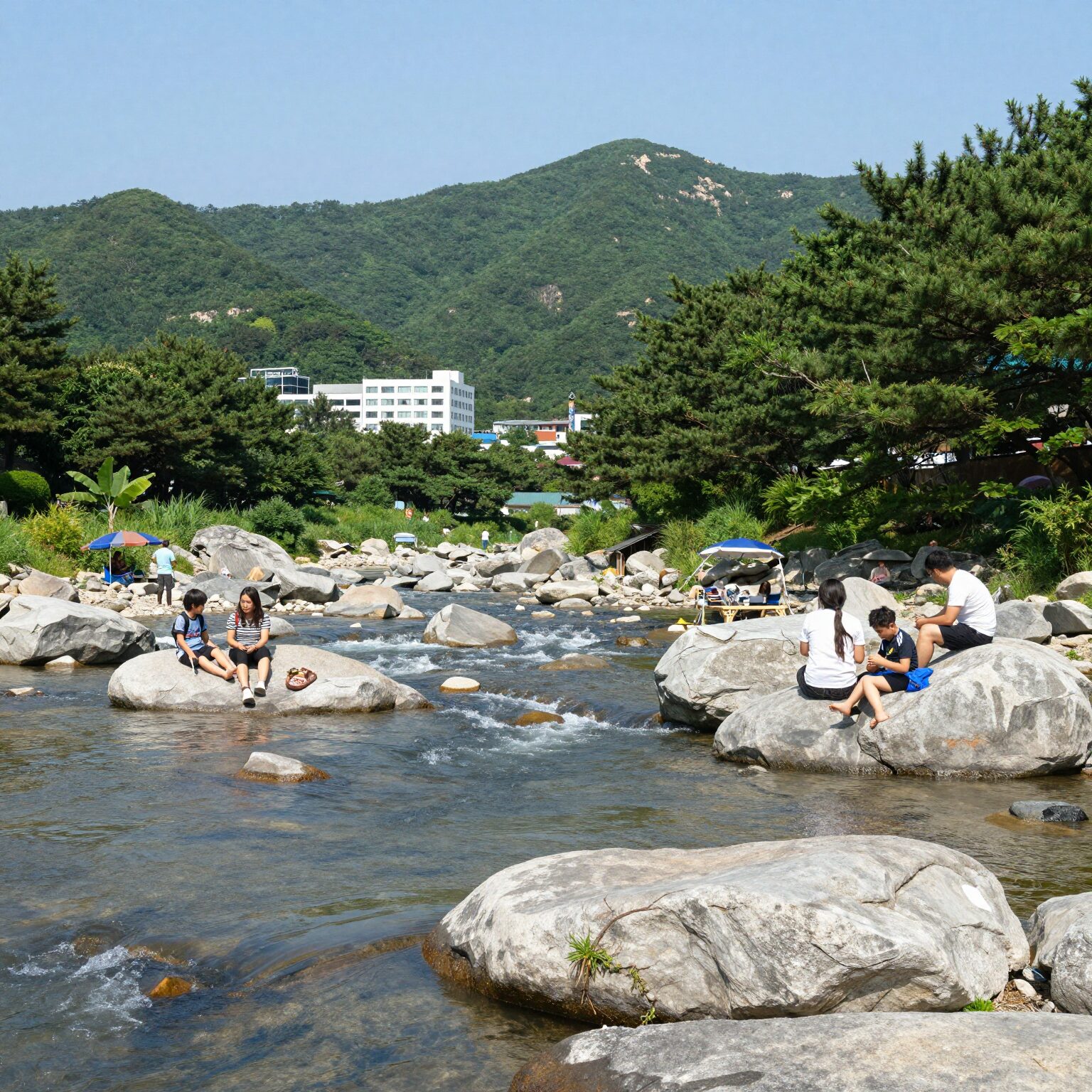 제천 능강계곡 여름 물놀이 풍경