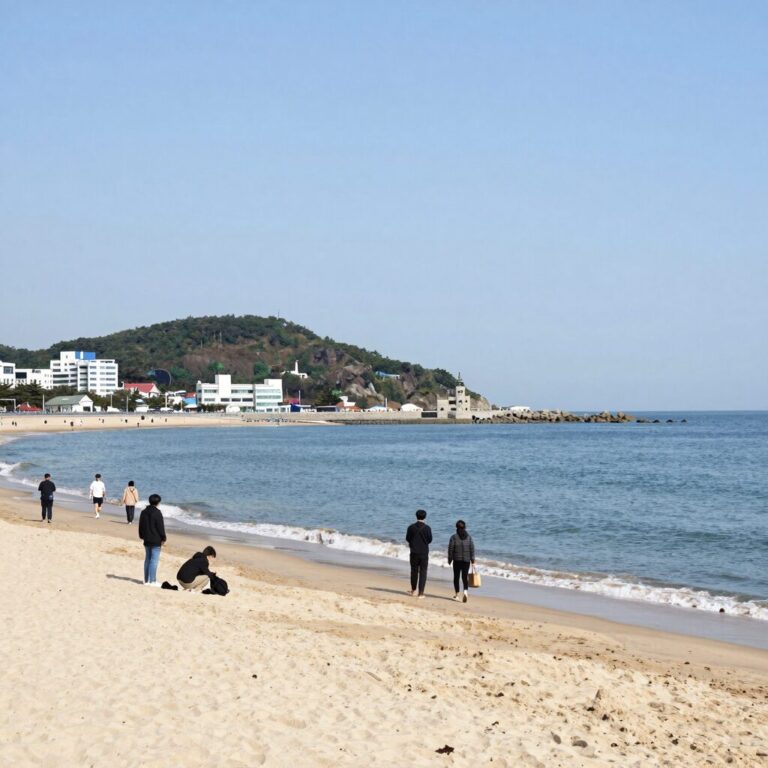 속초 외옹치해수욕장 해변 전경