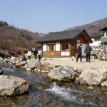 광양 옥룡계곡 캐빈하우스 여름 물놀이 추천 광양 옥룡계곡 캐빈하우스 앞 깨끗한 계곡 물