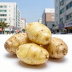감자 껍질 효능 제대로 알아보기 감자 껍질 항산화 성분과 식이섬유가 풍부한 감자 껍질의 효능