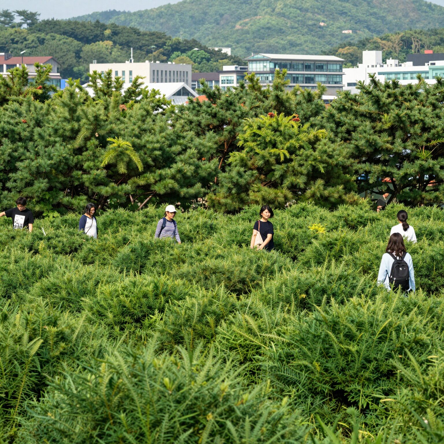 성주 경산리 성밖숲 왕버들 군락 전경
