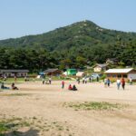 보령 계곡 성주산 휴양림 물놀이장 정리 보령 성주산 자연휴양림 물놀이장 전경