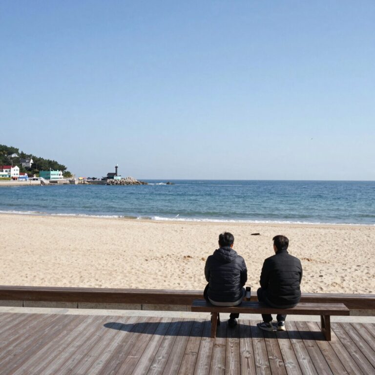 속초 해변 전망과 조용한 펜션 마당 풍경
