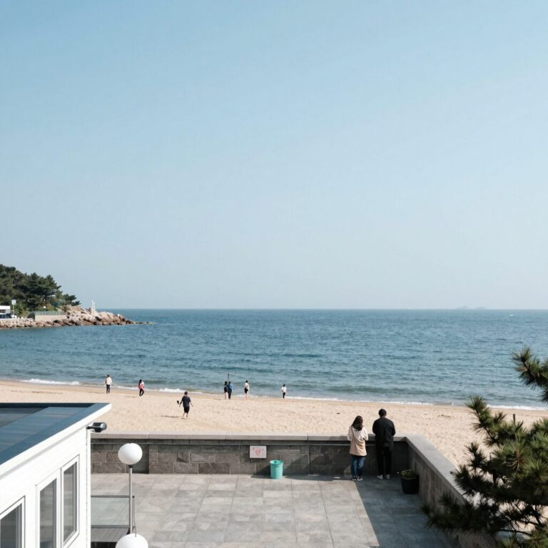 송지호 해수욕장 펜션 옥상에서 바라본 바다 전경