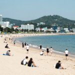 장마 종료 후 8월 휴가철 기간에 최적화된 해변 여행을 계획하는 사람들의 모습
