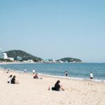 여름 인사말로 시원함 전하는 방법 시원한 여름 해변 풍경 여름 인사말에 어울리는 이미지