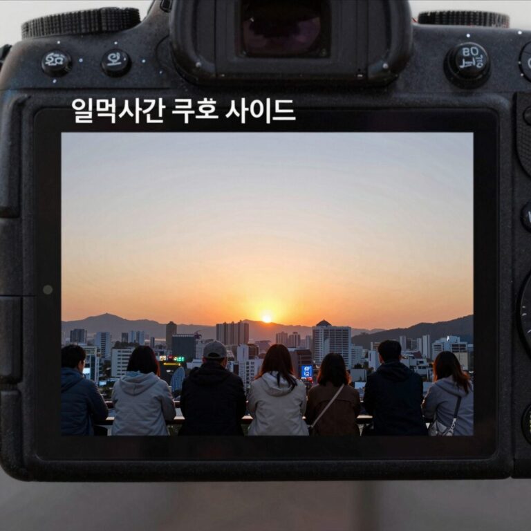 일출시간 조회 사이트 화면과 일출 사진