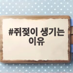 쥐젖이 생기는 이유와 안전한 제거 관리법 쥐젖이 생기는 이유