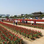 2026 괴산고추축제 일정 셔틀버스 2026 괴산 고추축제 행사장 전경과 붉은 고추 장식