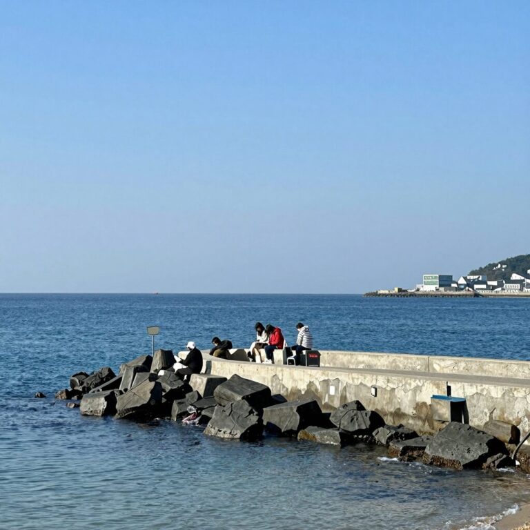 남애항 고래카페에서 바라본 푸른 바다와 방파제 풍경