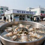 태안물회맛집바다횟집후기와메뉴 태안 물회 맛집 바다횟집 태안본점에서 먹은 갑오징어물회와 게국지