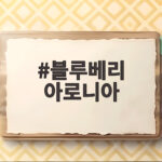블루베리 아로니아 효능 비교와 섭취 방법 블루베리 아로니아