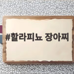 할라피뇨 장아찌 담그는 황금비율 할라피뇨 장아찌
