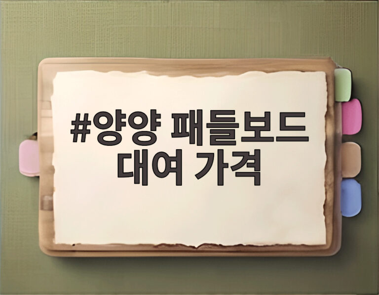 양양 패들보드 대여 가격