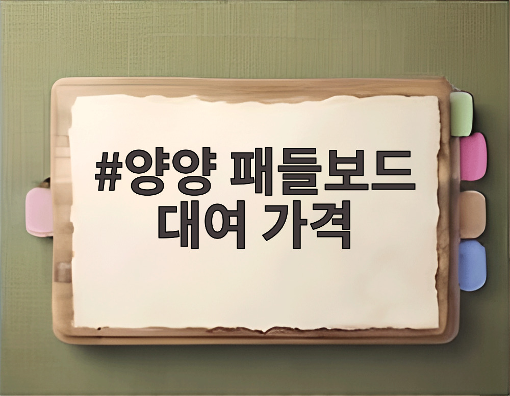 양양 패들보드 대여 가격