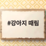 강아지 때림