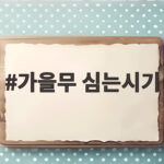 가을무 심는시기 8월 중순부터 시작 가을무 심는시기