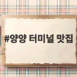 양양 터미널 맛집