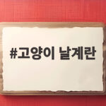 고양이 날계란
