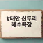태안 신두리 해수욕장 아이와 함께 갯벌 여름 여행 태안 신두리 해수욕장