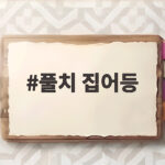풀치 집어등