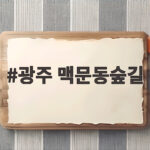 광주 맥문동숲길 보랏빛 절정 시기 광주 맥문동숲길