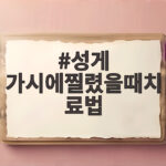성게 가시에찔렸을때치료법