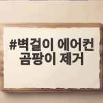 벽걸이 에어컨 곰팡이 제거 필수 팁 벽걸이 에어컨 곰팡이 제거