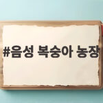 음성 복숭아 농장