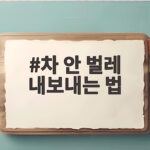 차 안 벌레 내보내는 법