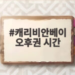 캐리비안베이 오후권 시간 할인 꿀팁 정리 캐리비안베이 오후권 시간