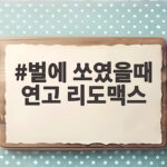 벌에 쏘였을때 연고 리도맥스 선택과 빠른 대처법 벌에 쏘였을때 연고 리도맥스