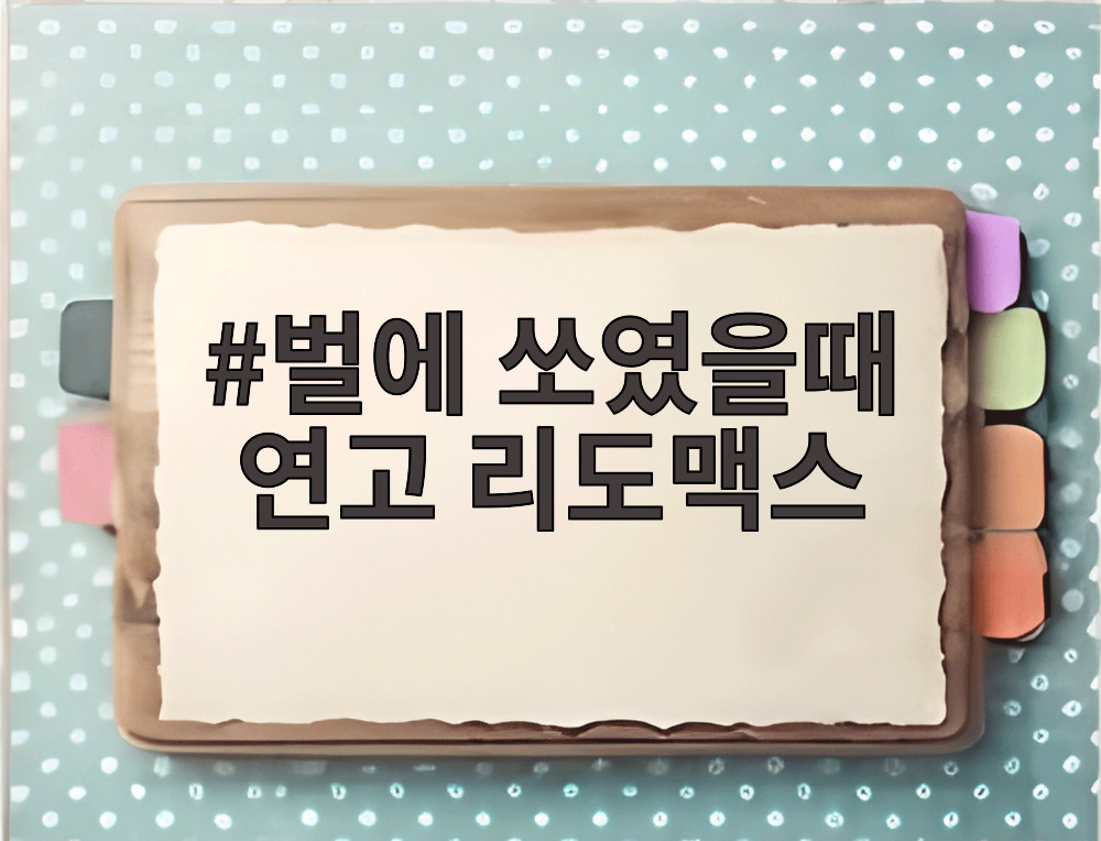 벌에 쏘였을때 연고 리도맥스