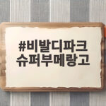 비발디파크 슈퍼부메랑고