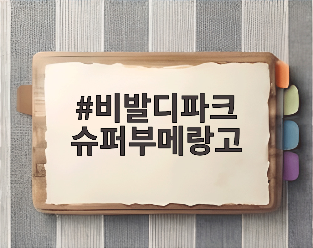 비발디파크 슈퍼부메랑고