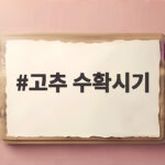 고추 수확시기와 건조 방법 완벽 정리 고추 수확시기