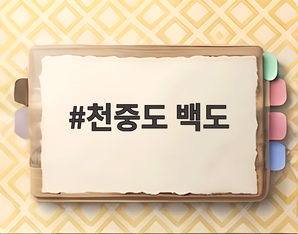 천중도 백도