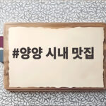 양양 시내 맛집