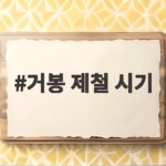 거봉 제철 시기와 맛있게 먹는 방법 거봉 제철 시기