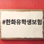 한화유학생보험