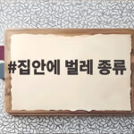 집안에 벌레 종류별 퇴치법 완전 정리 집안에 벌레 종류