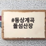 동상계곡 돌섬산장 물놀이 후기 동상계곡 돌섬산장