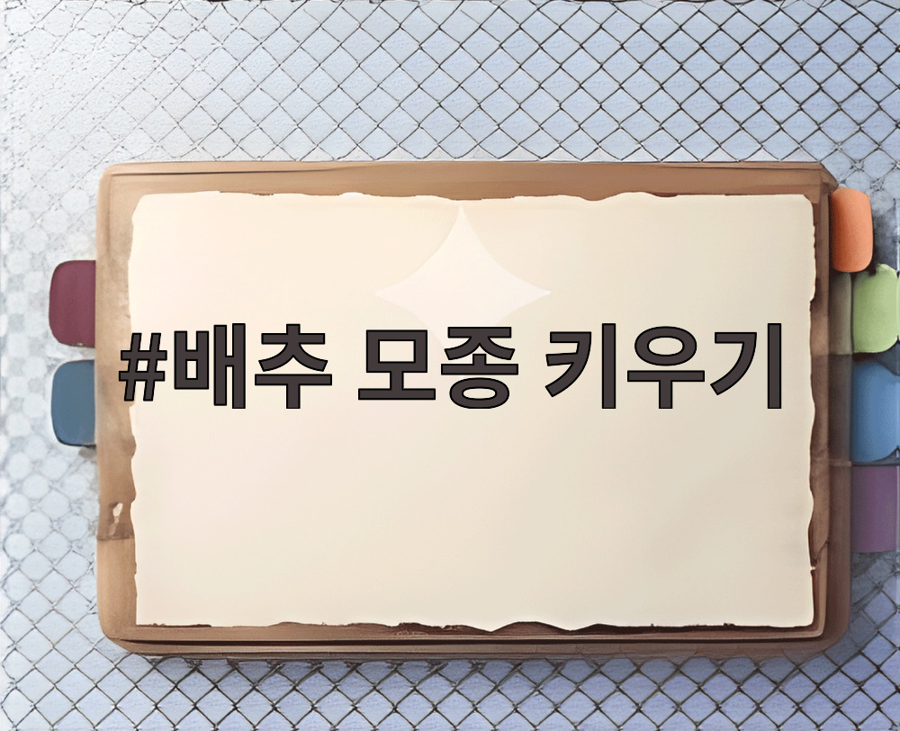 배추 모종 키우기