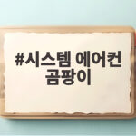 시스템 에어컨 곰팡이 원인과 해결법 시스템 에어컨 곰팡이