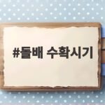 돌배 수확시기