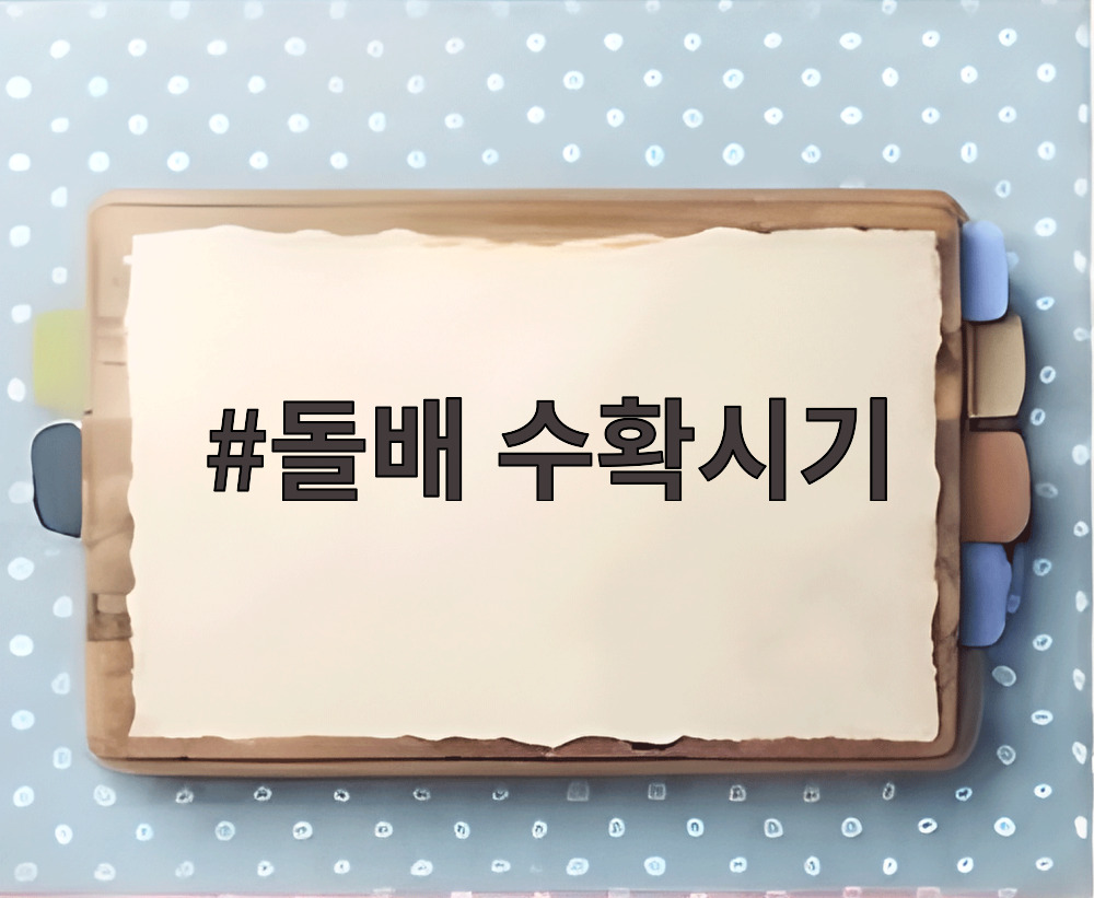 돌배 수확시기