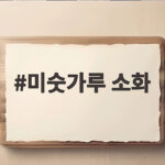 미숫가루 소화