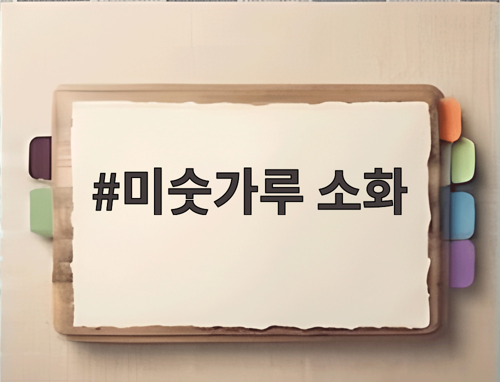미숫가루 소화