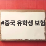 중국 유학생 보험