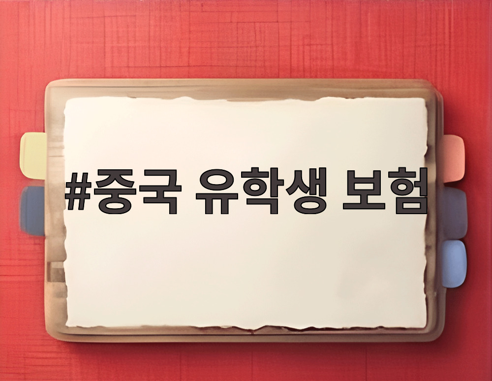 중국 유학생 보험